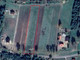 Działka na sprzedaż - Czerwona Wola, Sieniawa (Gm.), Przeworski (Pow.), 5300 m², 253 000 PLN, NET-61