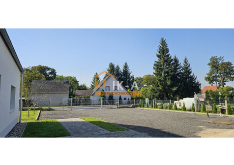 Dom do wynajęcia - Żagańska Iłowa, Iłowa (Gm.), Żagański (Pow.), 160 m², 15 990 PLN, NET-127