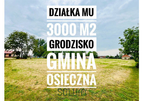 Działka na sprzedaż - Grodzisko, Osieczna, Leszczyński, 3000 m², 390 000 PLN, NET-SOLM-GS-274