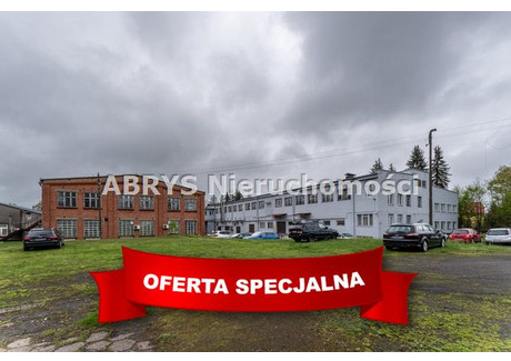 Komercyjne na sprzedaż - Bartoszyce, Bartoszycki, 11 444 m², 6 000 000 PLN, NET-ABR-LS-11841