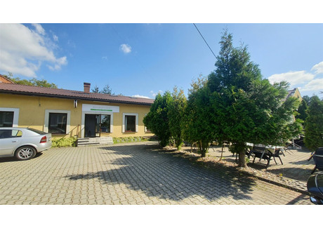 Lokal gastronomiczny na sprzedaż - Rachowice, Sośnicowice, Gliwicki, 200 m², 749 000 PLN, NET-DTI-BS-1683