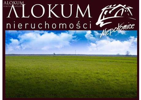 Działka na sprzedaż - Wola Batorska, Niepołomice, Wielicki, 1050 m², 260 000 PLN, NET-1023/ALK/DZS-2287