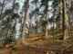 Leśne na sprzedaż - Tresna, Czernichów, Żywiecki, 4841 m², 65 000 PLN, NET-MDN-GS-514