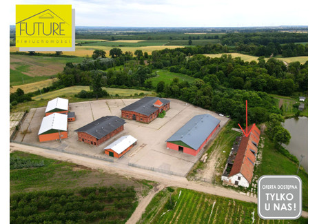 Fabryka, zakład na sprzedaż - Wysoka, Rychliki, Elbląski, 774 m², 550 000 PLN, NET-983917