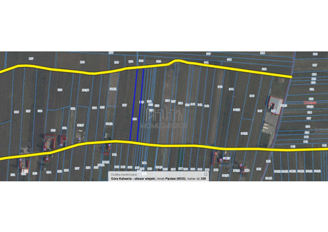 Działka na sprzedaż - Pęcław, Góra Kalwaria, Piaseczyński, 5500 m², 165 000 PLN, NET-EMP-GS-9721