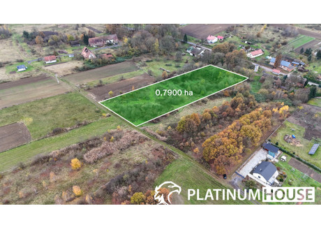 Działka na sprzedaż - Kotowice, Nowogród Bobrzański, Zielonogórski, 7900 m², 99 000 PLN, NET-PH419219