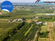 Rolny na sprzedaż - Grójec, Grójecki, 20 701 m², 1 240 000 PLN, NET-16/10009/OGS