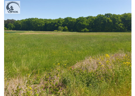 Działka na sprzedaż - Ispina, Drwinia, Bocheński, 5400 m², 160 000 PLN, NET-SMK-GS-5874