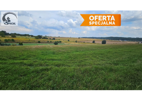 Działka na sprzedaż - Zalesie, Iwanowice, Krakowski, 9213 m², 1 380 000 PLN, NET-SMK-GS-6148