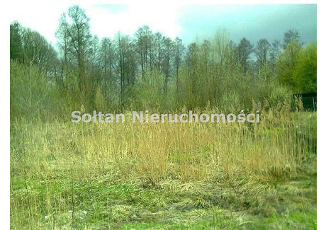 Działka na sprzedaż - Chlebnia, Grodzisk Mazowiecki, Grodziski, 90 000 m², 13 500 000 PLN, NET-SOL-GS-65293-23