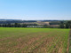 Rolny na sprzedaż - Brzuchania, Miechów, Miechowski, 14 150 m², 185 000 PLN, NET-BS5-GS-296258