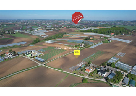 Działka na sprzedaż - Szarbia, Koniusza, Proszowicki, 9964 m², 449 000 PLN, NET-BS5-GS-299488