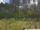 Leśne na sprzedaż - Strzeniówka, Nadarzyn, Pruszkowski, 2000 m², 765 000 PLN, NET-8315/3098/OGS