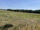 Rolny na sprzedaż - Budzyń, Chodzieski, 92 035 m², 935 000 PLN, NET-564733
