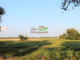 Rolny na sprzedaż - Kłębanowice, Radwanice, Polkowicki, 57 500 m², 229 900 PLN, NET-410977