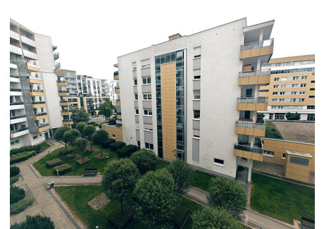 Mieszkanie do wynajęcia - Marcelińska Grunwald Północ, Grunwald, Poznań, 35 m², 1750 PLN, NET-4132