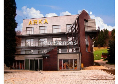 Hotel, pensjonat na sprzedaż - Wisła, Cieszyński, 1067 m², 7 500 000 PLN, NET-CNSS-BS-343