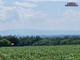 Rolny na sprzedaż - Zamarski, Hażlach, Cieszyński, 29 776 m², 357 276 PLN, NET-PEU-GS-7417