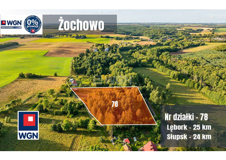 Działka na sprzedaż - Żochowo, Potęgowo (gm.), Słupski (pow.), 10 681 m², 688 000 PLN, NET-22915