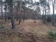 Leśne na sprzedaż - Józefów, Otwocki, 2732 m², 2 185 600 PLN, NET-G-86741-12
