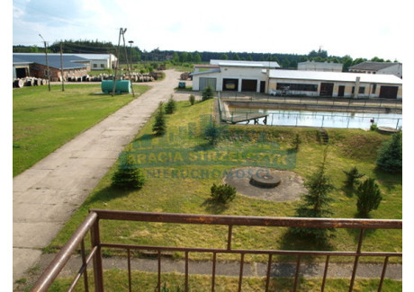 Lokal do wynajęcia - Przasnysz, Przasnyski, 4500 m², 55 000 PLN, NET-3284/2113/OLW