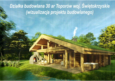 Działka na sprzedaż - Bosowice, Stopnica (Gm.), Buski (Pow.), 3000 m², 320 000 PLN, NET-2244