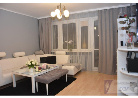 Mieszkanie do wynajęcia - Słoneczna Kielce, 40 m², 1600 PLN, NET-496