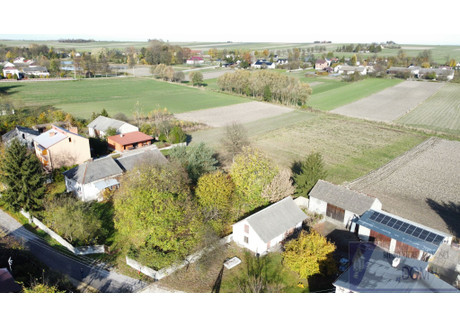 Działka na sprzedaż - Trzciniec, Nagłowice (Gm.), Jędrzejowski (Pow.), 10 220 m², 240 000 PLN, NET-471