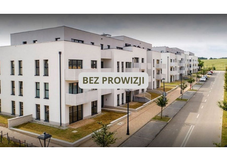 Mieszkanie na sprzedaż - Jeziorna Siewierz, Będziński, 42,65 m², 270 113 PLN, NET-963226