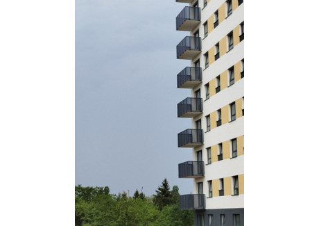 Mieszkanie na sprzedaż - Rataje, Poznań-Nowe Miasto, Poznań, 47,15 m², 513 000 PLN, NET-303697