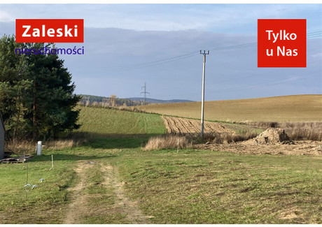 Działka na sprzedaż - Klonowa Zła Wieś, Trąbki Wielkie, Gdański, 3981 m², 260 000 PLN, NET-ZA016004
