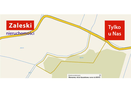 Działka na sprzedaż - Szczodrowo, Skarszewy, Starogardzki, 9977 m², 210 000 PLN, NET-ZA016295