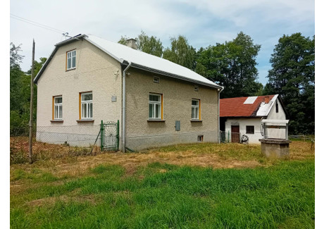 Dom na sprzedaż - Dominikowice, Gorlice (gm.), Gorlicki (pow.), 100 m², 350 000 PLN, NET-B4/22