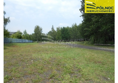 Działka na sprzedaż - Niwka, Sosnowiec, 5715 m², 485 775 PLN, NET-15383/3877/OGS