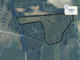 Leśne na sprzedaż - Lipowiec, Tyszowce, Tomaszowski, 24 000 m², 119 000 PLN, NET-43632/3877/OGS