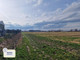 Rolny na sprzedaż - Mościckiego Dębica, Dębicki, 10 117 m², 2 000 000 PLN, NET-44281/3877/OGS
