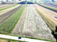 Rolny na sprzedaż - Dosłońce, Racławice, Miechowski, 4000 m², 249 000 PLN, NET-42794/3877/OGS