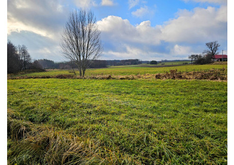 Działka na sprzedaż - Marcinki, Kobyla Góra, Ostrzeszowski, 7761 m², 738 000 PLN, NET-511/11978/OGS