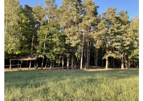 Działka na sprzedaż - Chylice, Konstancin-Jeziorna, Piaseczyński, 7758 m², 4 300 000 PLN, NET-904750