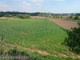 Rolny na sprzedaż - Tonie, Prądnik Biały, Kraków, Kraków M., 8369 m², 2 100 000 PLN, NET-PAC-GS-2528-5