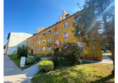 Mieszkanie na sprzedaż - Międzyrzecz, 50,74 m², 299 500 PLN, NET-407386