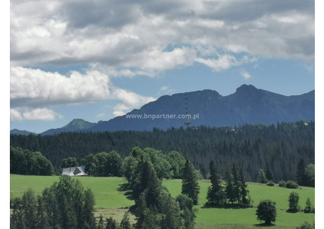 Działka na sprzedaż - Ząb, Poronin (gm.), Tatrzański (pow.), 14 957 m², 790 000 PLN, NET-SG15/07