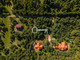 Dom na sprzedaż - Olsztyn, 252 m², 1 890 000 PLN, NET-668983