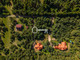 Dom na sprzedaż - Ząbie, Olsztynek, Olsztyński, 252 m², 1 680 000 PLN, NET-668983