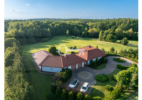 Działka na sprzedaż - Połęczyno, Somonino, Kartuski, 42 000 m², 6 700 000 PLN, NET-609449