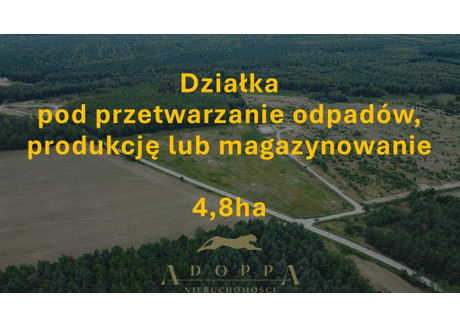 Magazyn, hala na sprzedaż - Gąsawy Rządowe, Jastrząb, Szydłowiecki, 48 000 m², 4 320 000 PLN, NET-24/3539/OOS