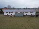 Działka na sprzedaż - Głowińsk, Rypin, Rypiński, 3200 m², 590 000 PLN, NET-1585