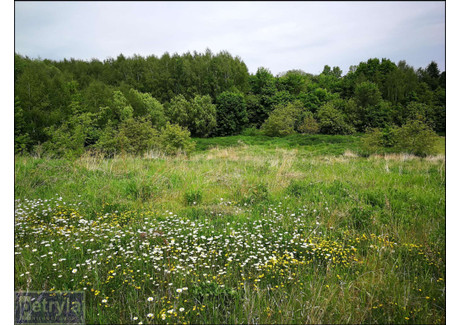 Działka na sprzedaż - Baranówka, Kocmyrzów-Luborzyca, Krakowski, 6000 m², 650 000 PLN, NET-31584