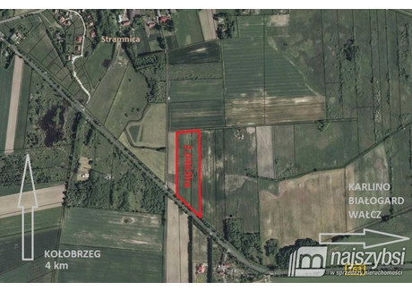 Działka na sprzedaż - Centrum, Stramnica, Kołobrzeg, Kołobrzeski, 3002 m², 300 200 PLN, NET-5835/MKN/DZS-277744