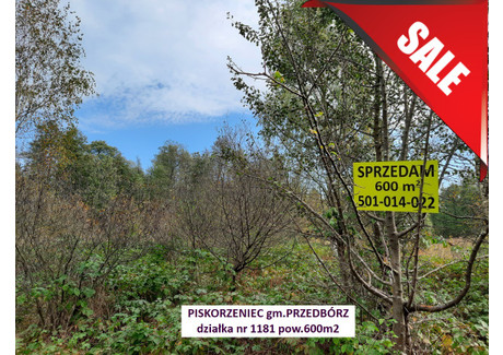 Działka na sprzedaż - Piskorzeniec, Przedbórz (Gm.), Radomszczański (Pow.), 600 m², 3150 PLN, NET-Piskorzeniec_600m2